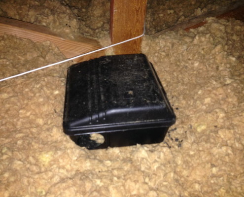 Active rodent problems in attic areas