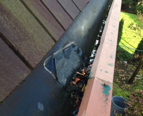 Built in gutters need servicing leaking below