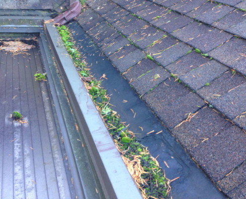 Clogged gutters roofing inspection