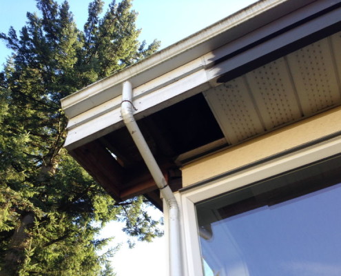 Missing soffits raccoons accessed attic causing major damage