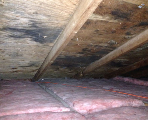 Mold in attic areas due to poor ventilation