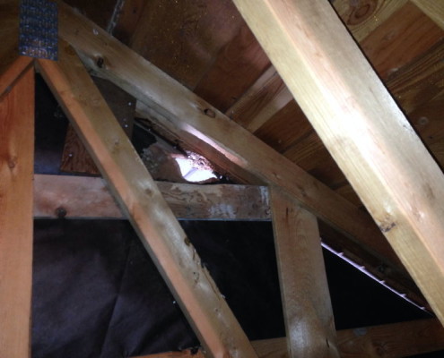 Rodent access into attic areas