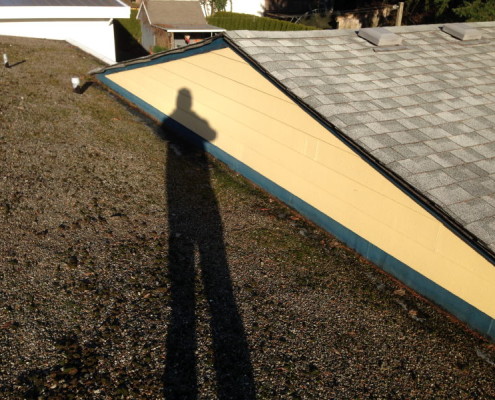 Roofing Inspection